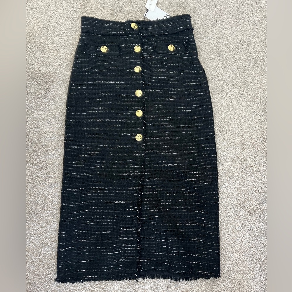 Zara maxi skirt